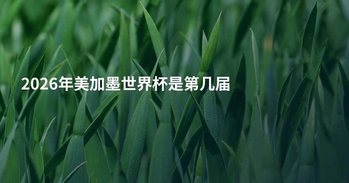 2026年美加墨世界杯是第几届