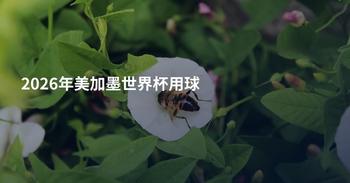 2026年美加墨世界杯用球