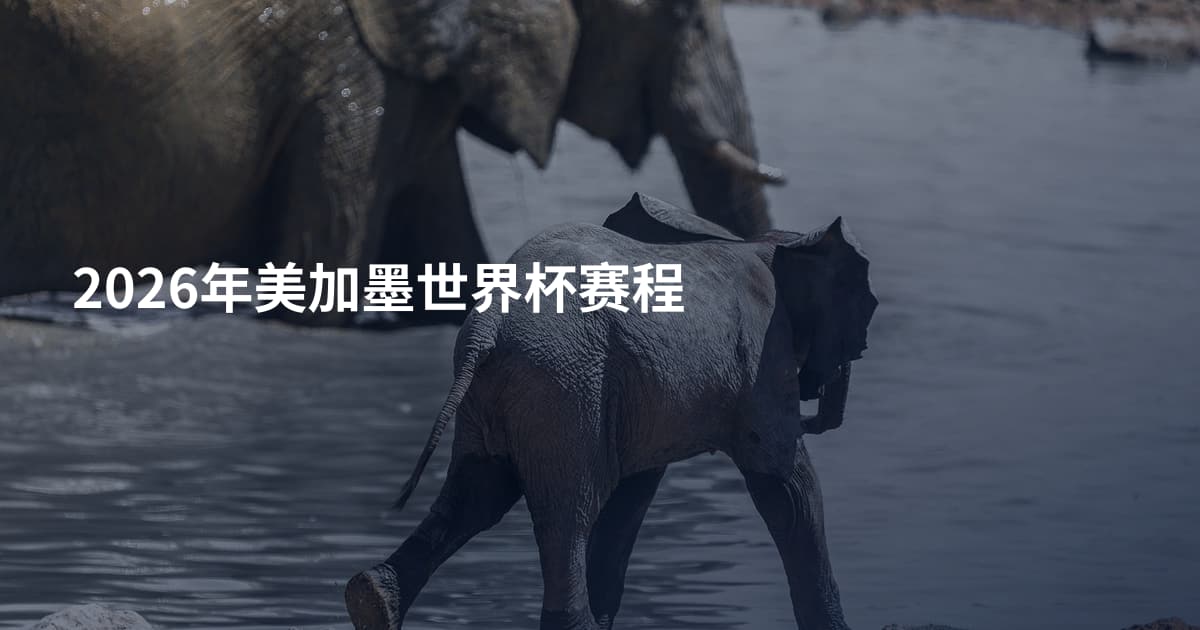 2026年美加墨世界杯赛程