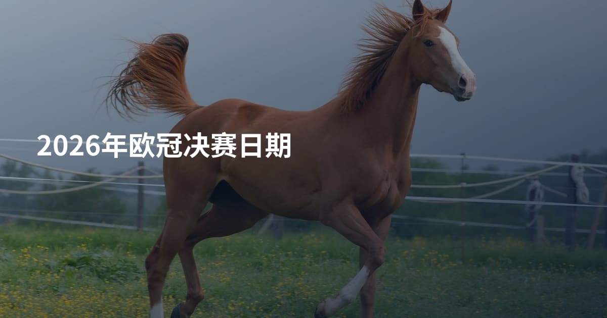 2026年欧冠决赛日期