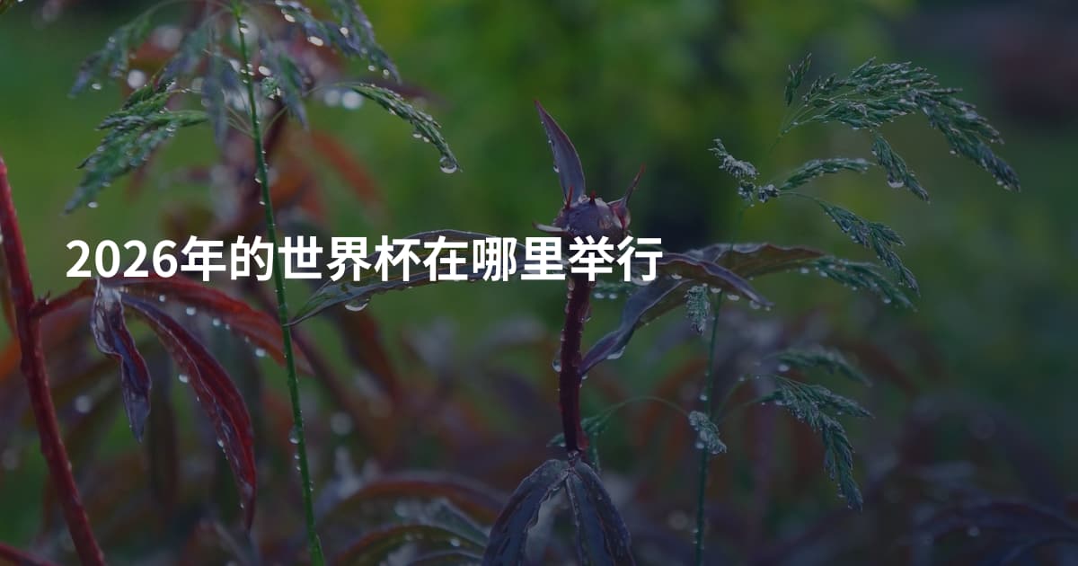 2026年的世界杯在哪里举行