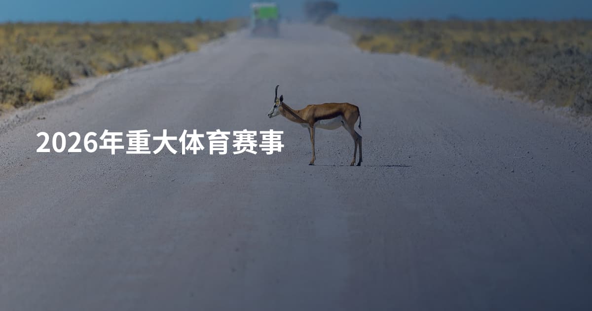 2026年重大体育赛事
