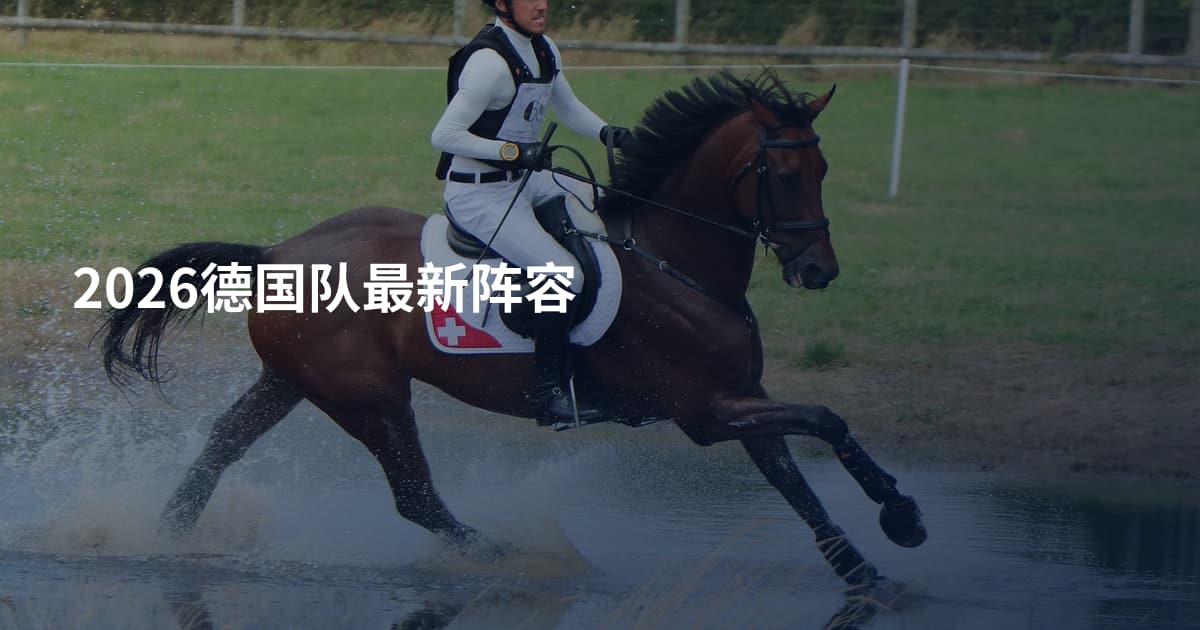 2026德国队最新阵容