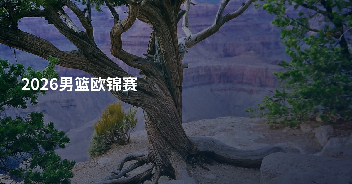 2026男篮欧锦赛
