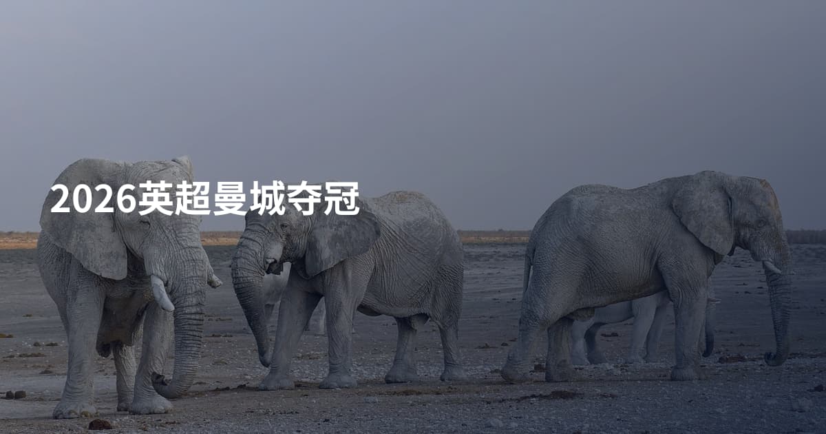 2026英超曼城夺冠