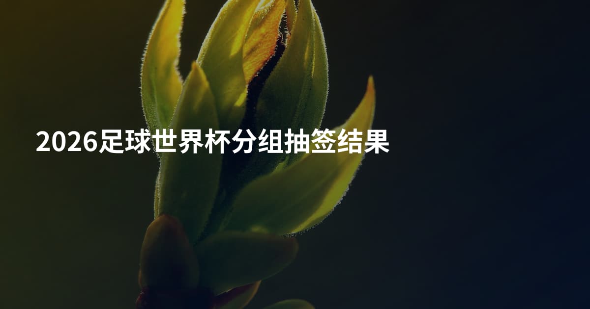 2026足球世界杯分组抽签结果