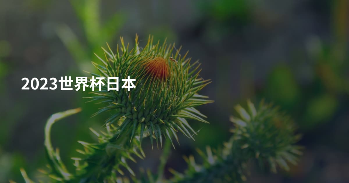 2023世界杯日本