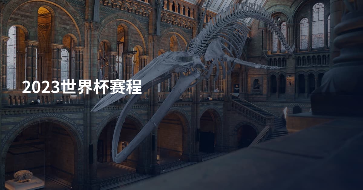 2023世界杯赛程