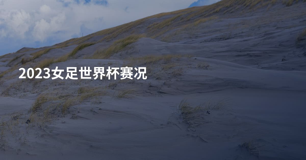 2023女足世界杯赛况
