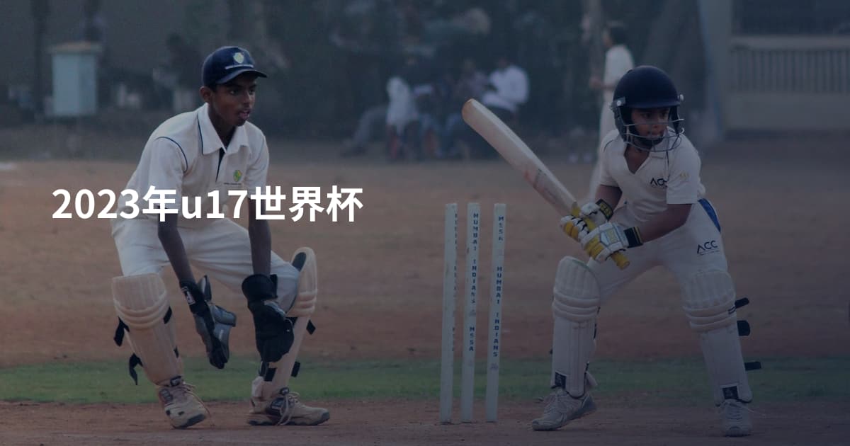 2023年u17世界杯