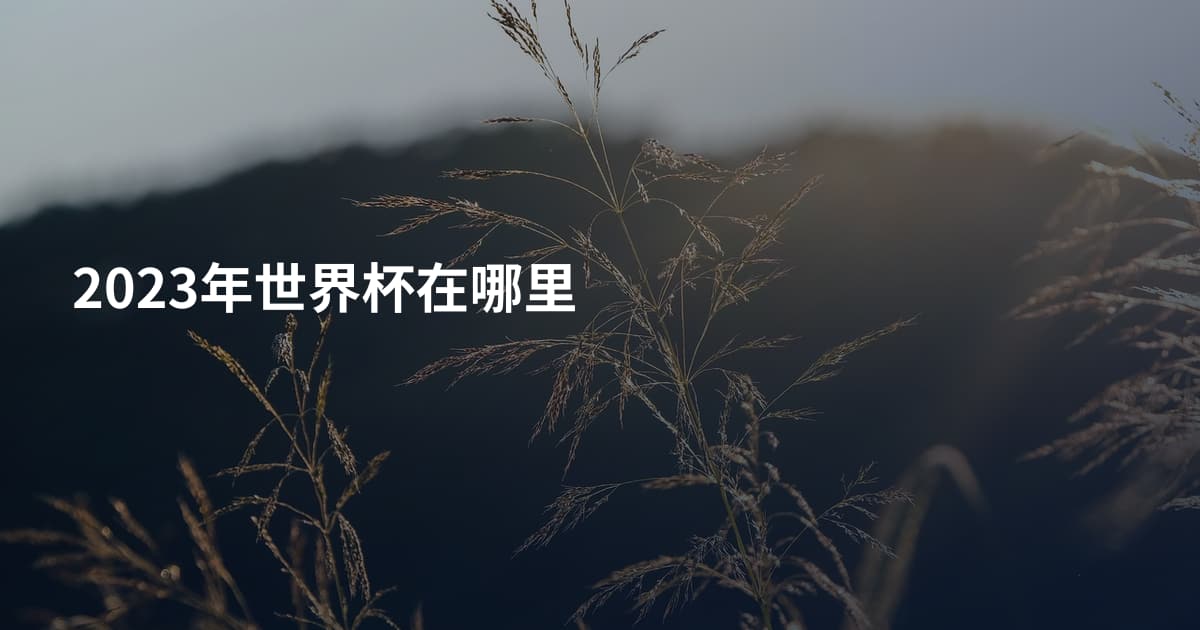 2023年世界杯在哪里