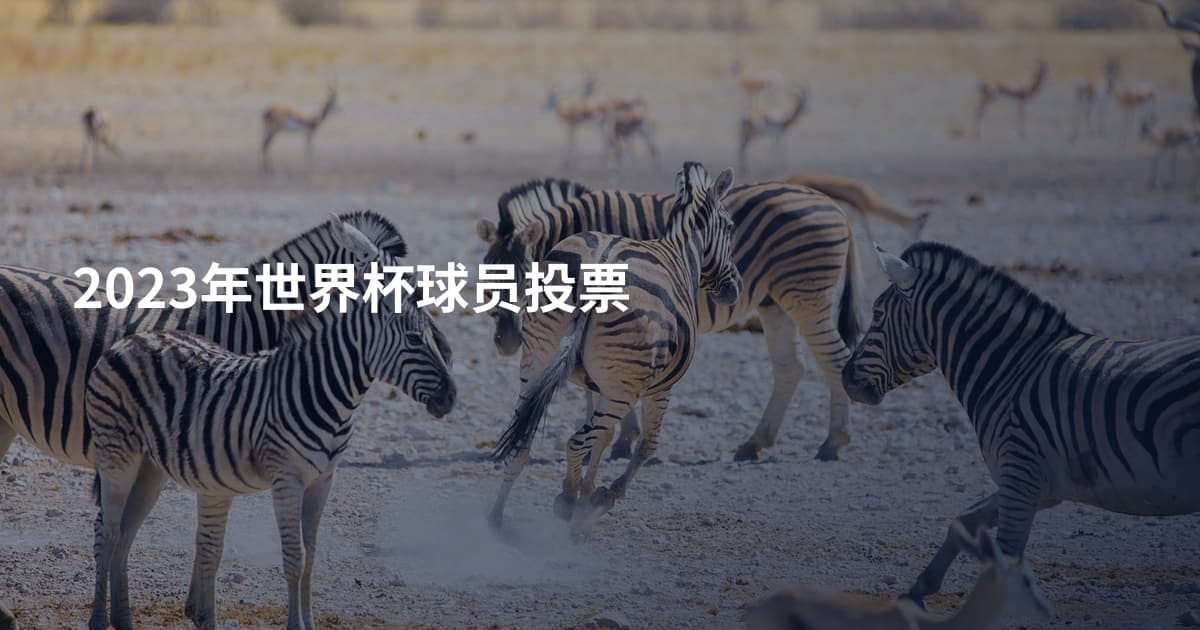 2023年世界杯球员投票