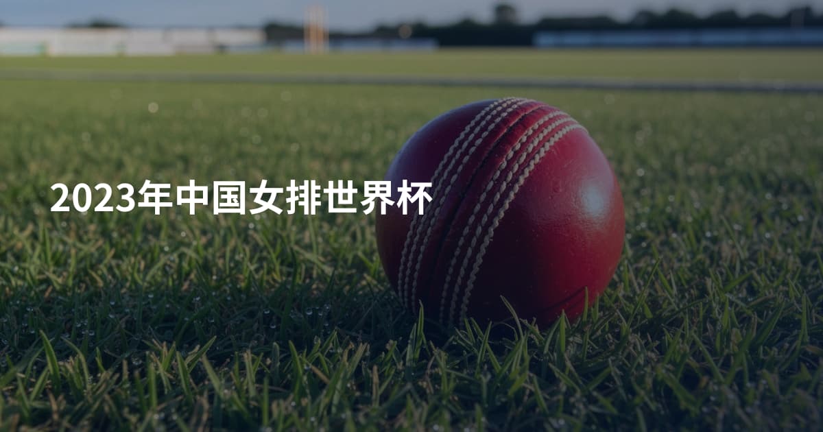 2023年中国女排世界杯