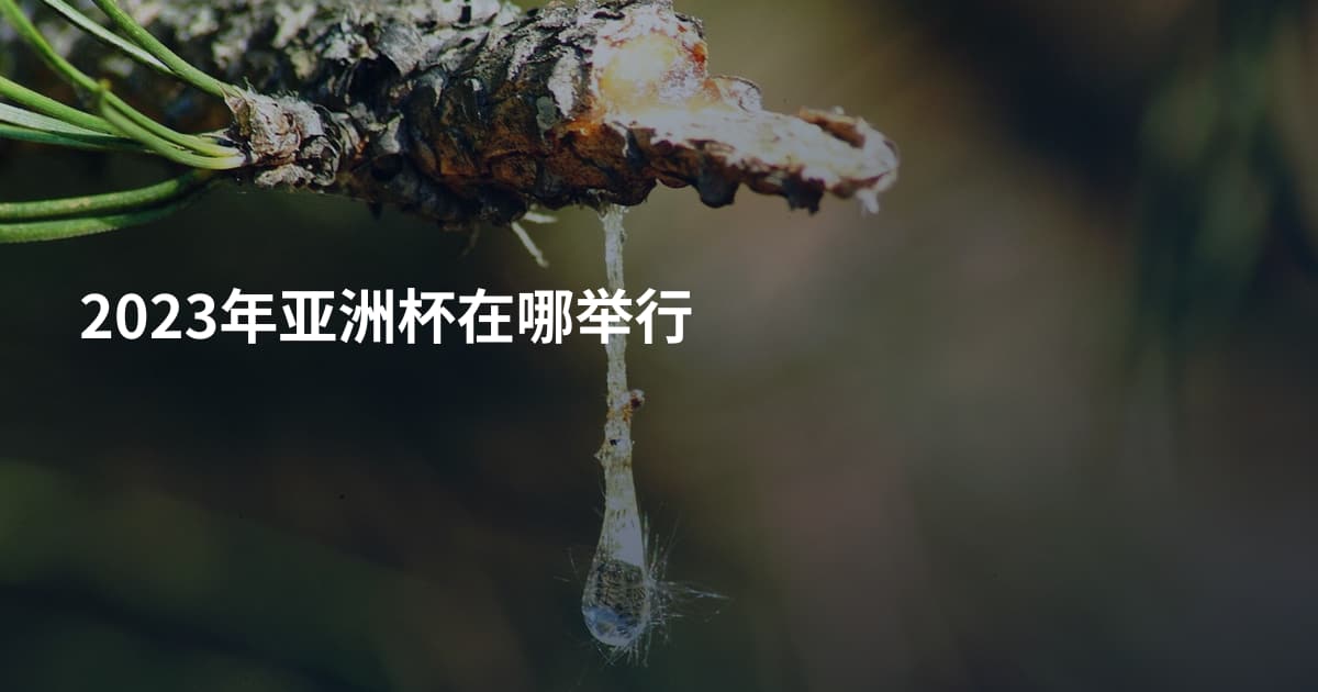 2023年亚洲杯在哪举行