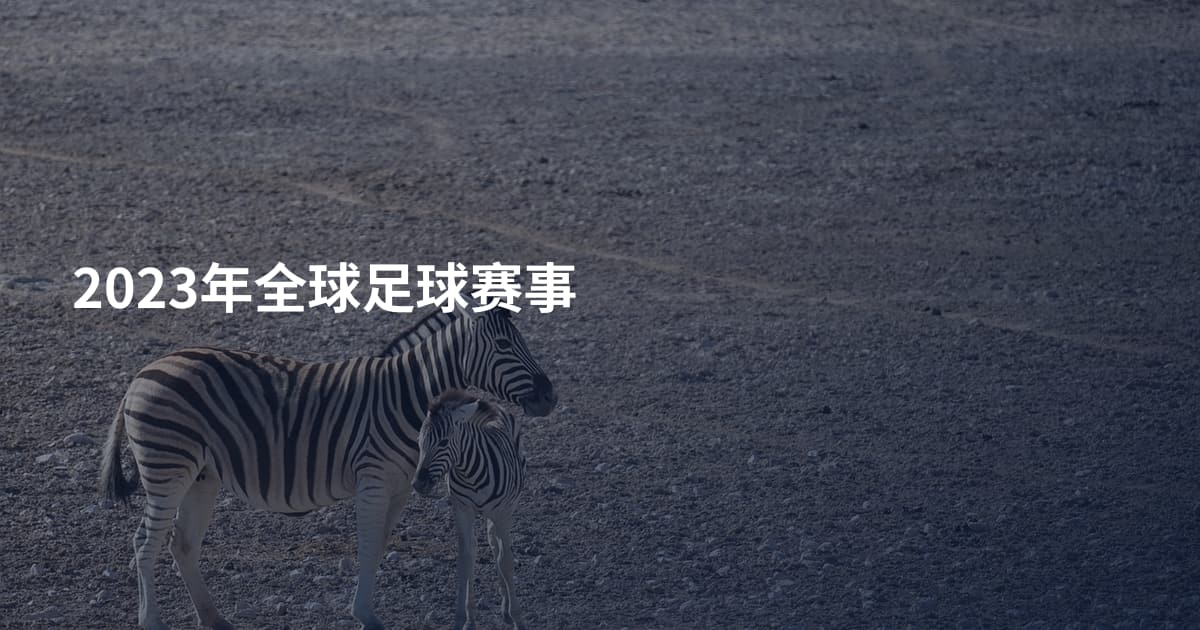 2023年全球足球赛事