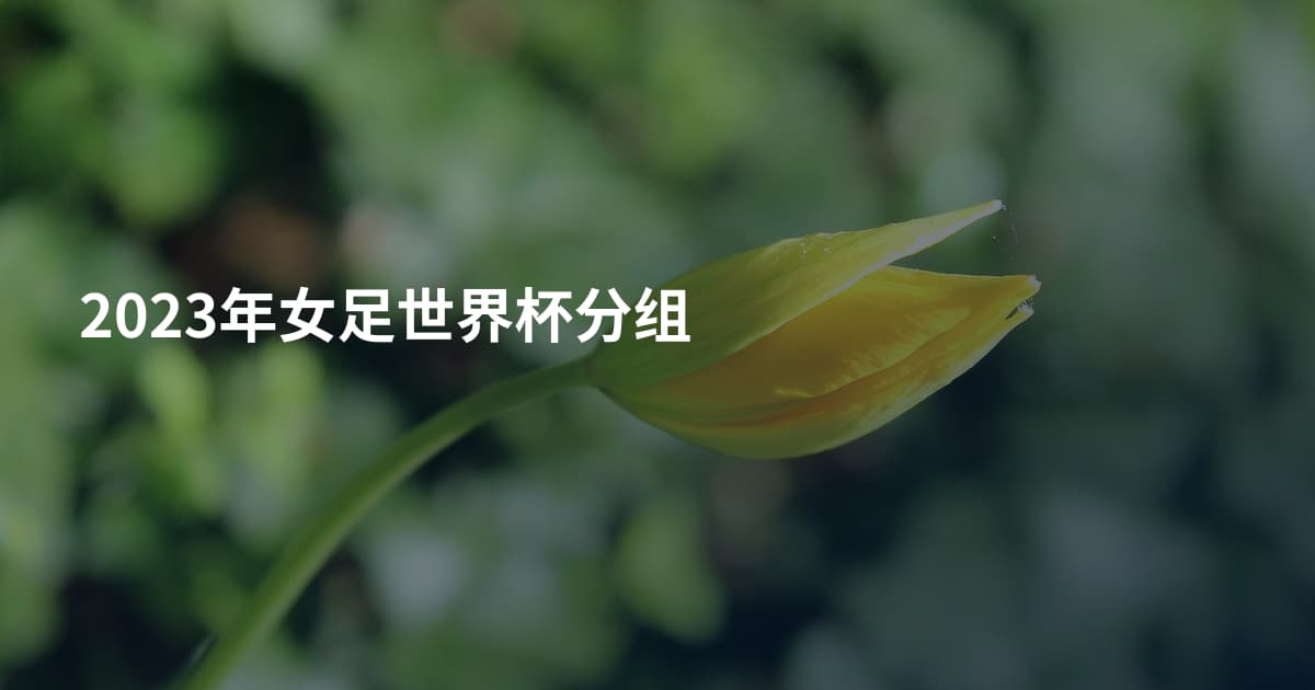 2023年女足世界杯分组