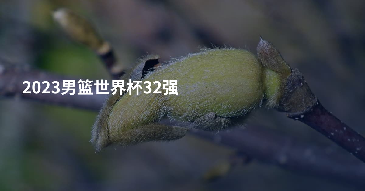 2023男篮世界杯32强