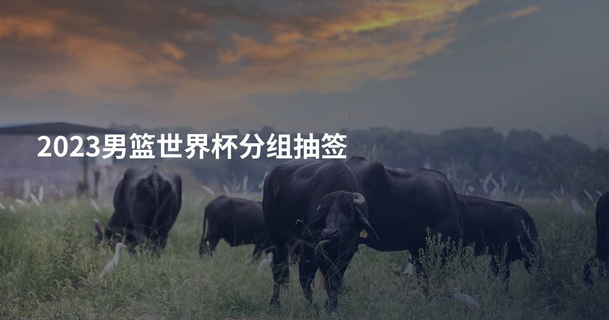 2023男篮世界杯分组抽签