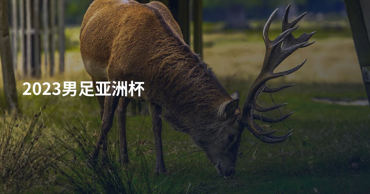 2023男足亚洲杯