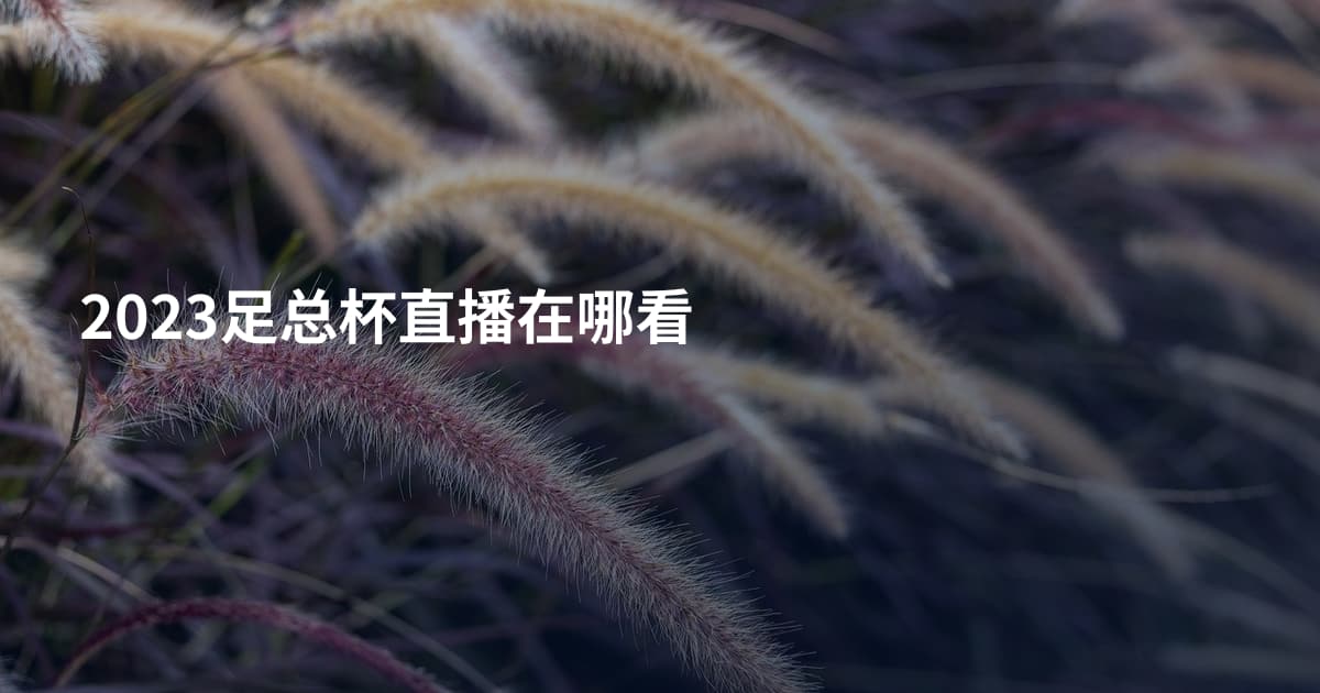 2023足总杯直播在哪看