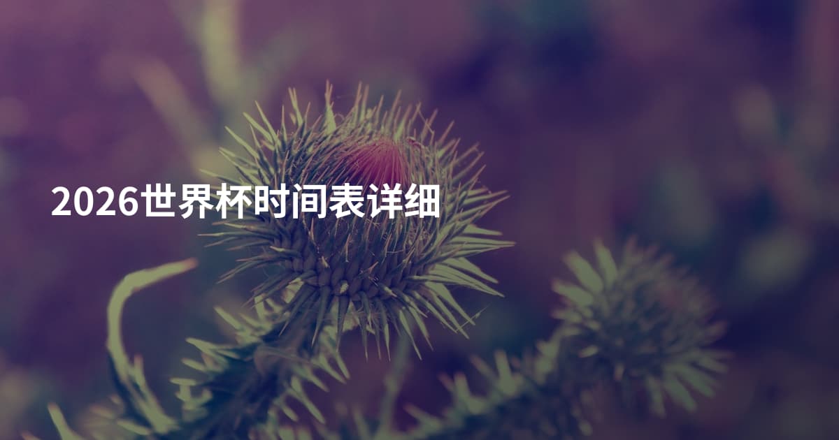2026世界杯时间表详细