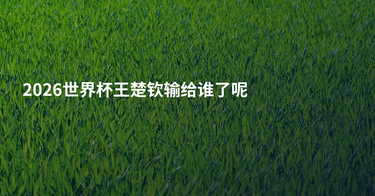 2026世界杯王楚钦输给谁了呢
