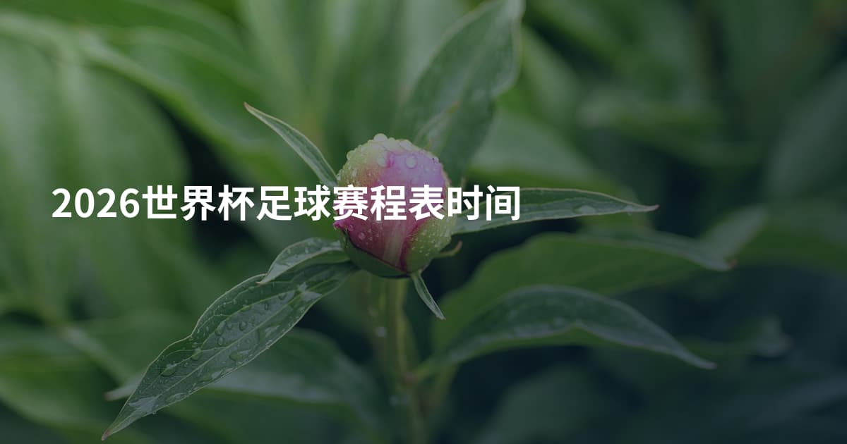 2026世界杯足球赛程表时间