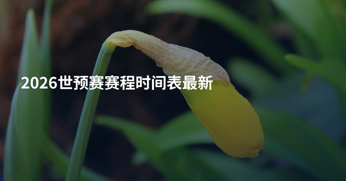 2026世预赛赛程时间表最新