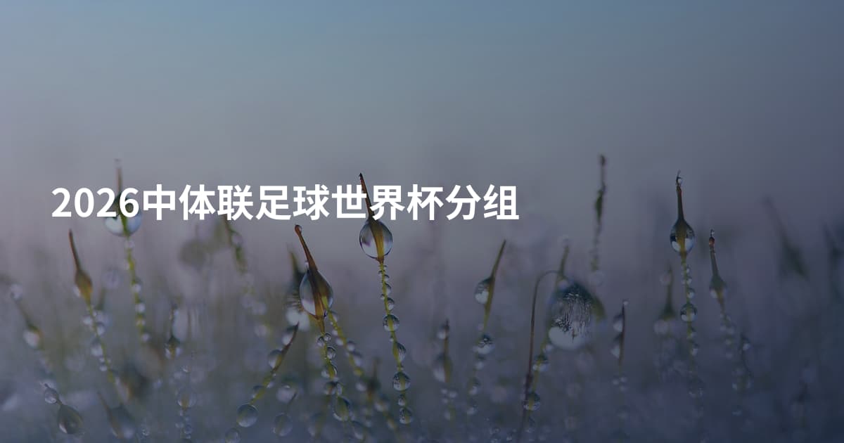 2026中体联足球世界杯分组