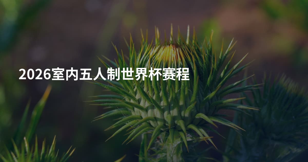 2026室内五人制世界杯赛程