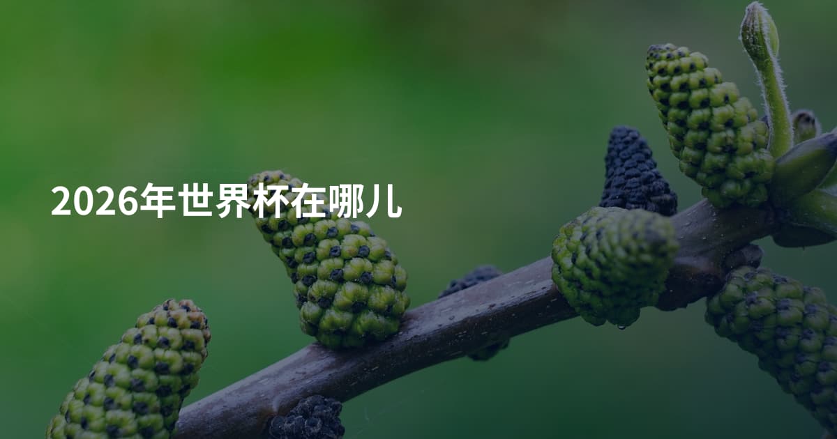 2026年世界杯在哪儿