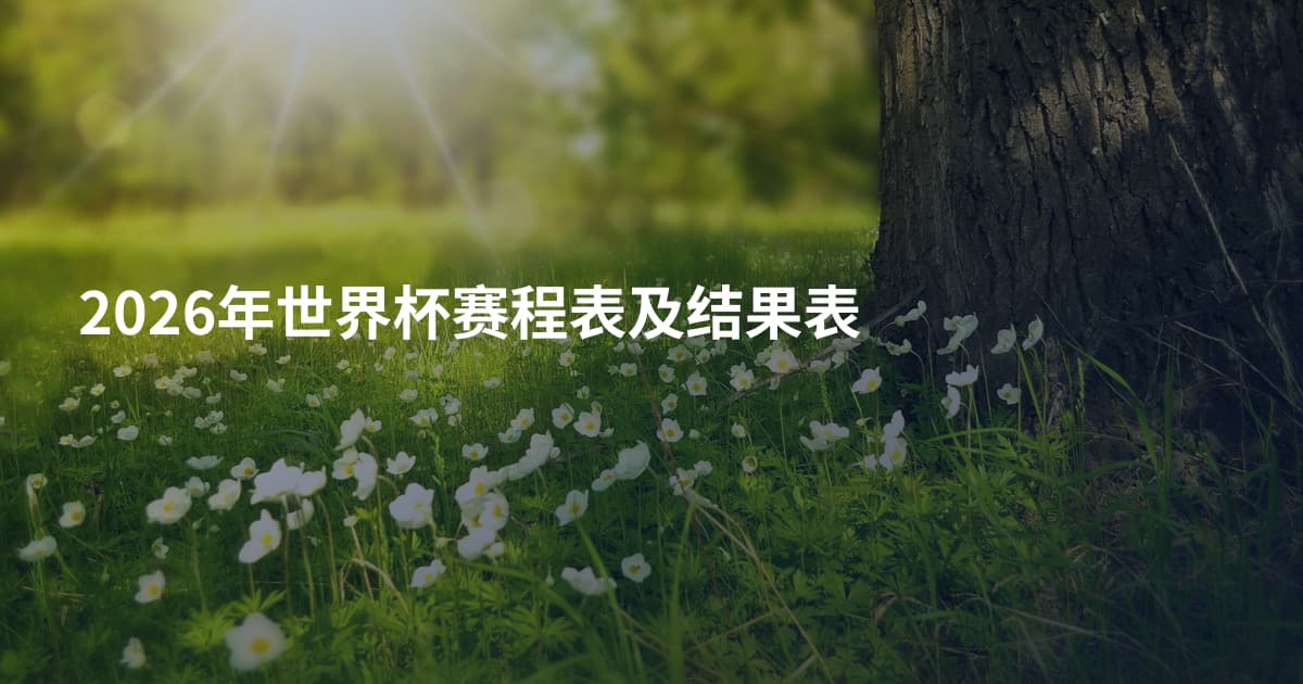 2026年世界杯赛程表及结果表