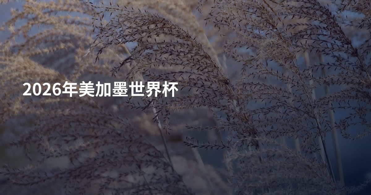 2026年美加墨世界杯