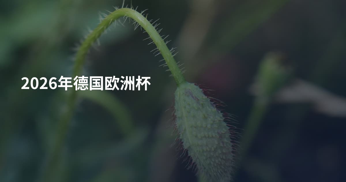 2026年德国欧洲杯