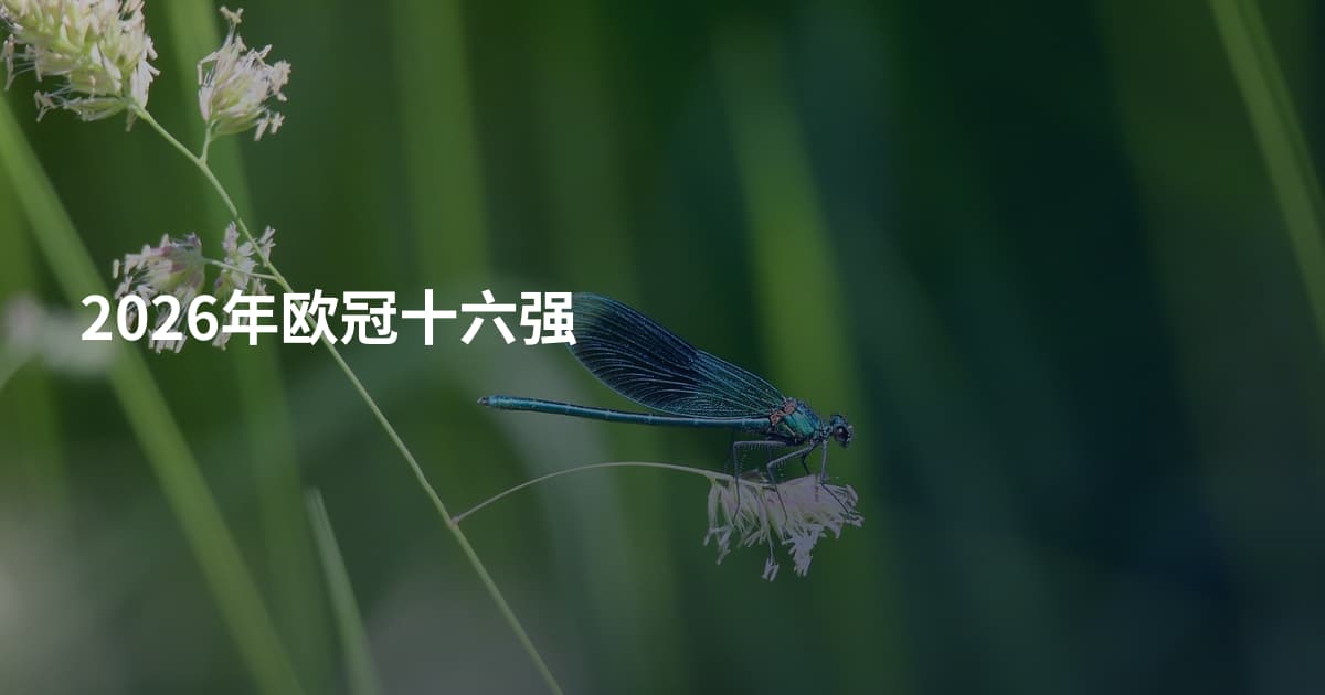 2026年欧冠十六强
