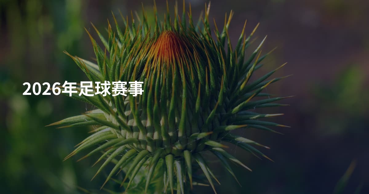 2026年足球赛事