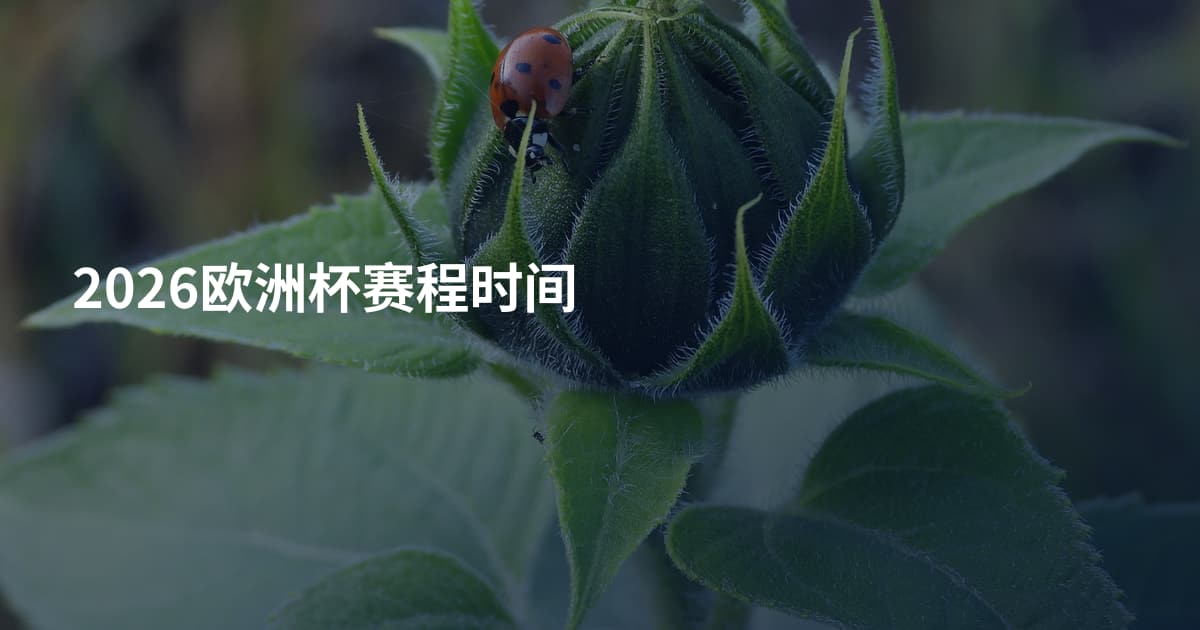 2026欧洲杯赛程时间