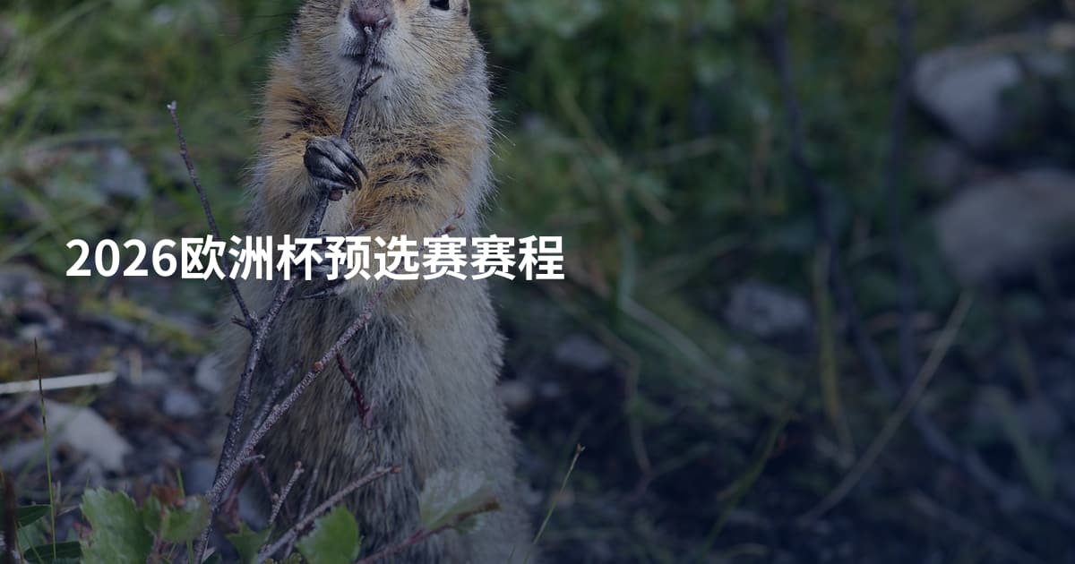 2026欧洲杯预选赛赛程