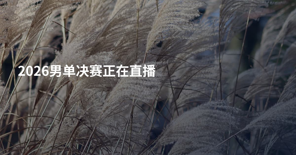 2026男单决赛正在直播