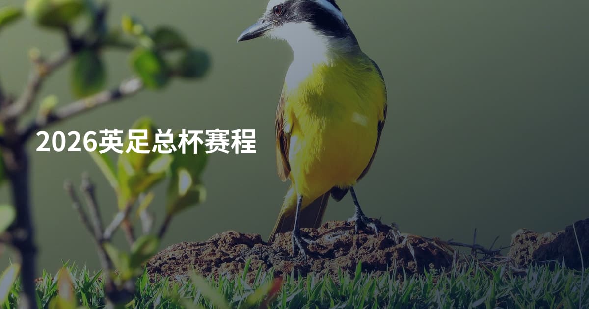2026英足总杯赛程