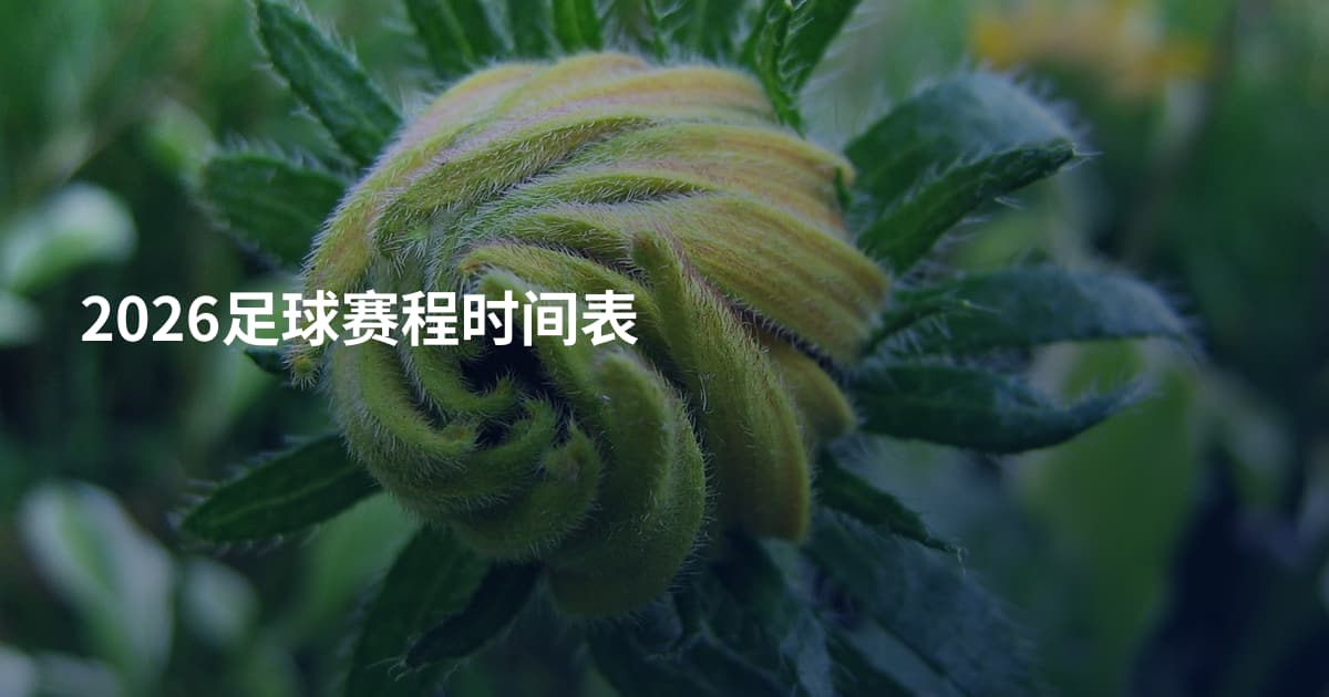 2026足球赛程时间表