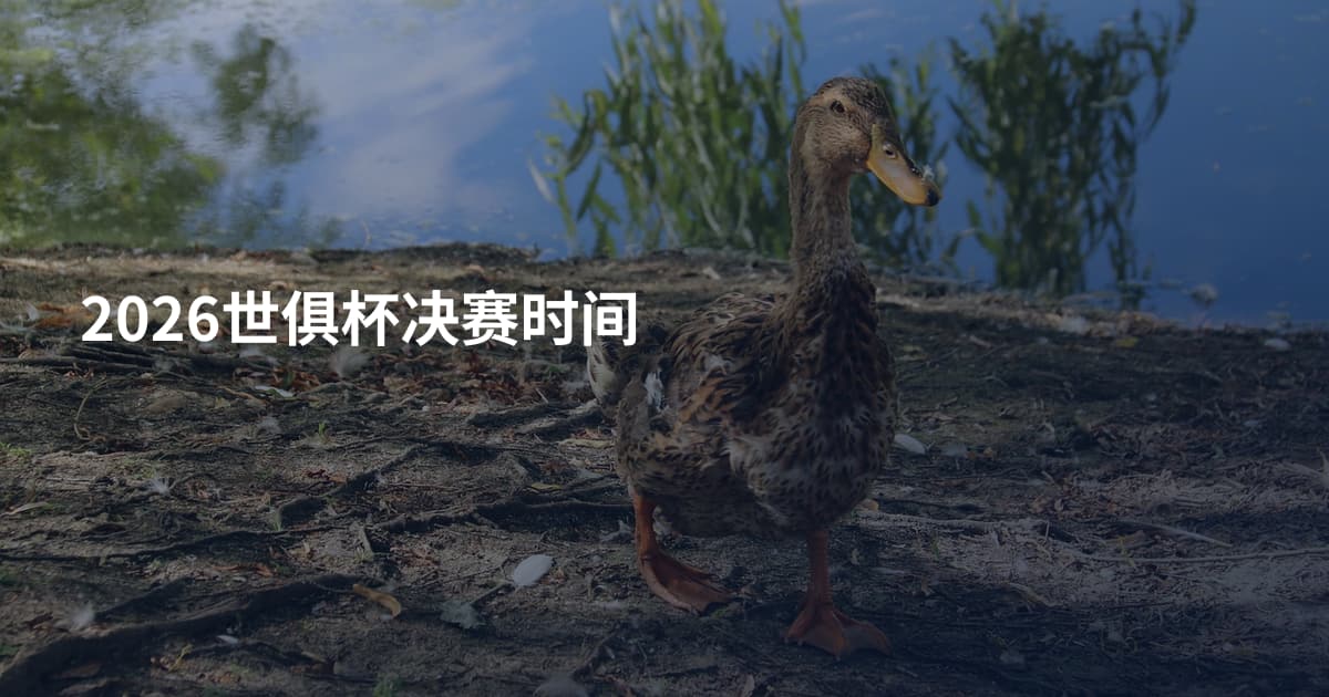 2026世俱杯决赛时间