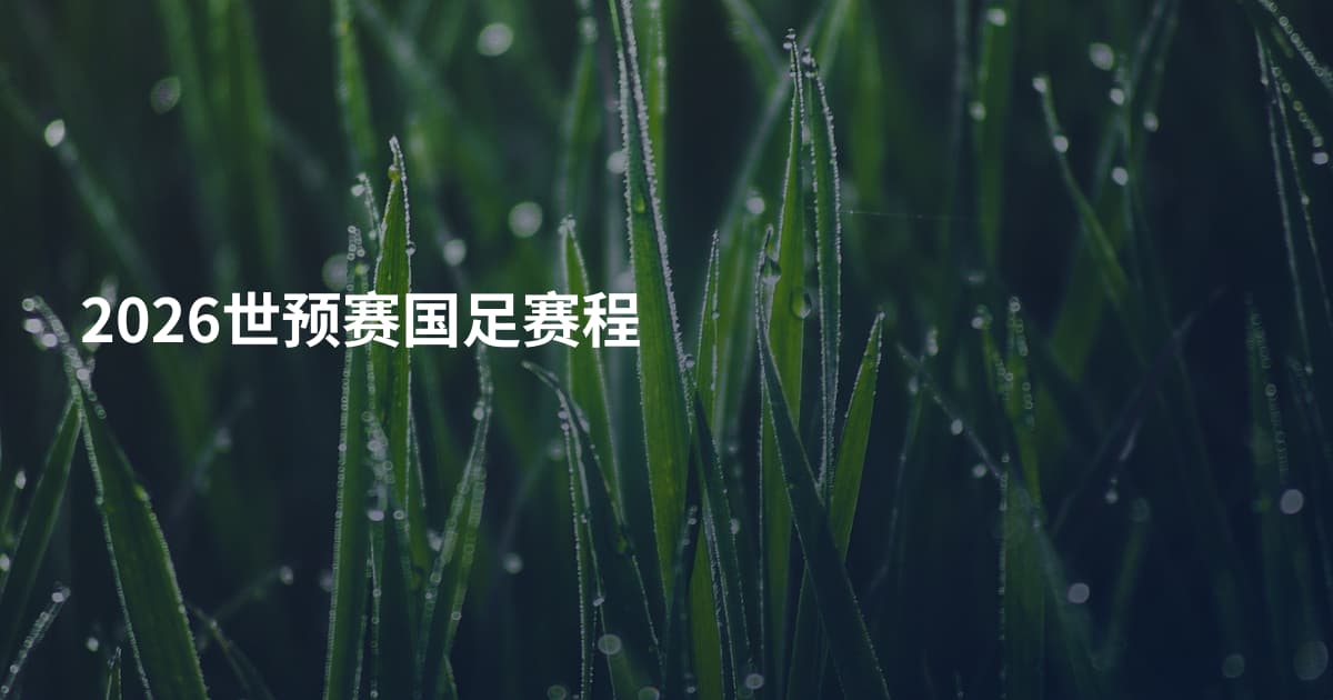 2026世预赛国足赛程