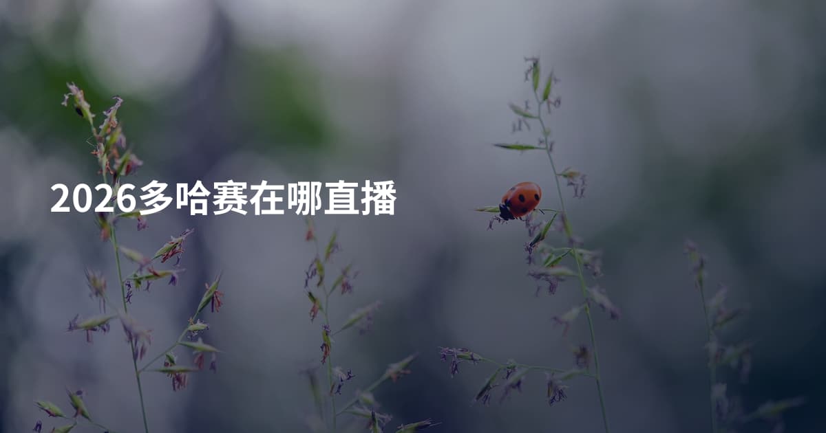 2026多哈赛在哪直播