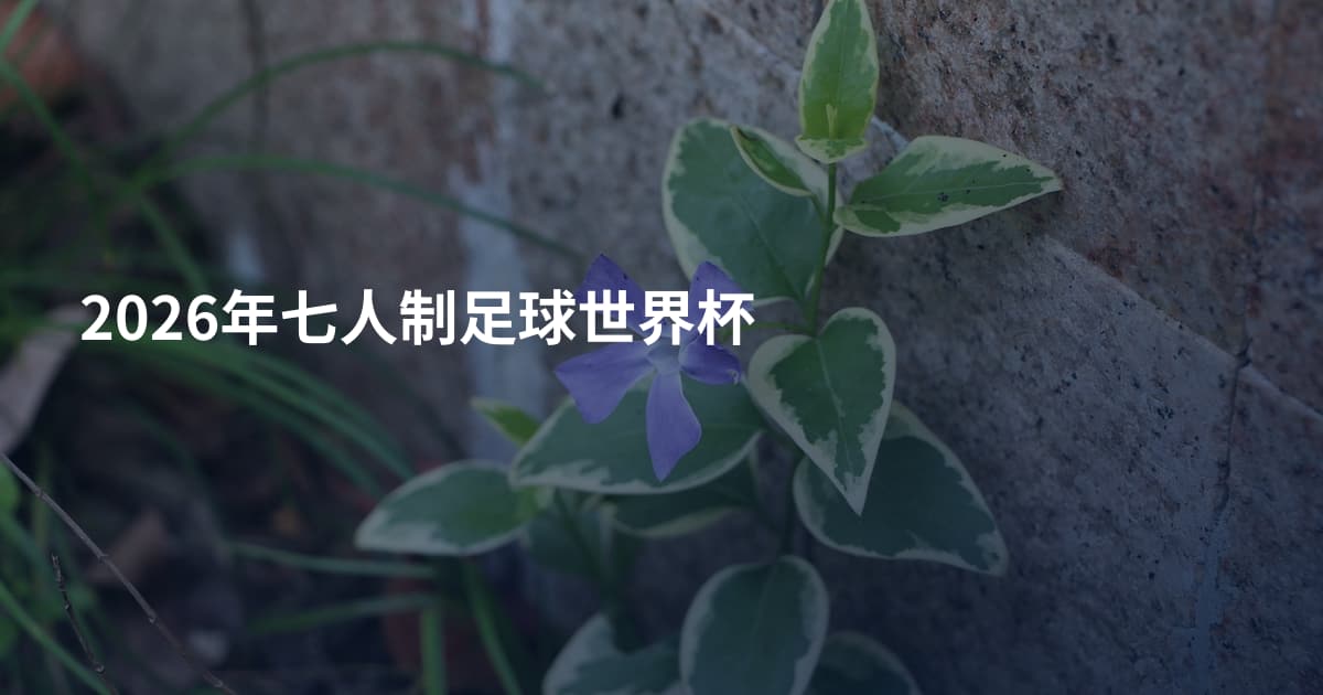 2026年七人制足球世界杯
