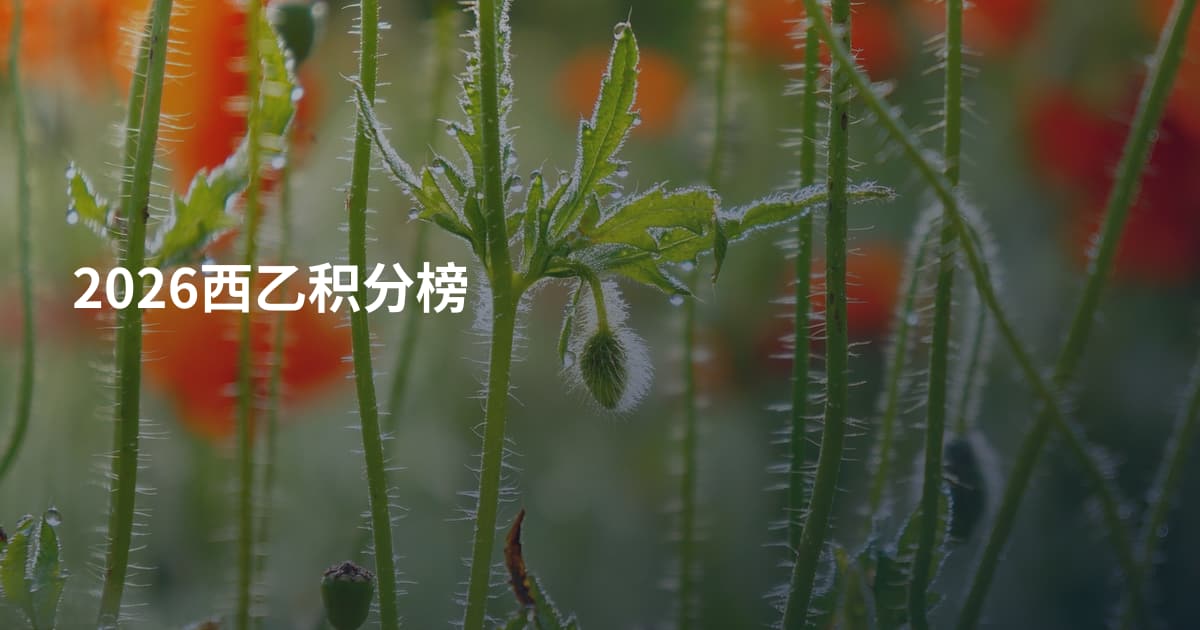 2026西乙积分榜
