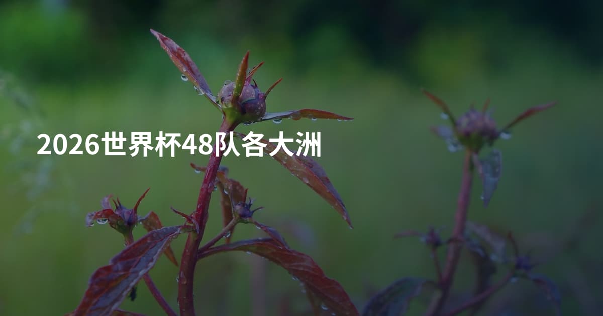 2026世界杯48队各大洲