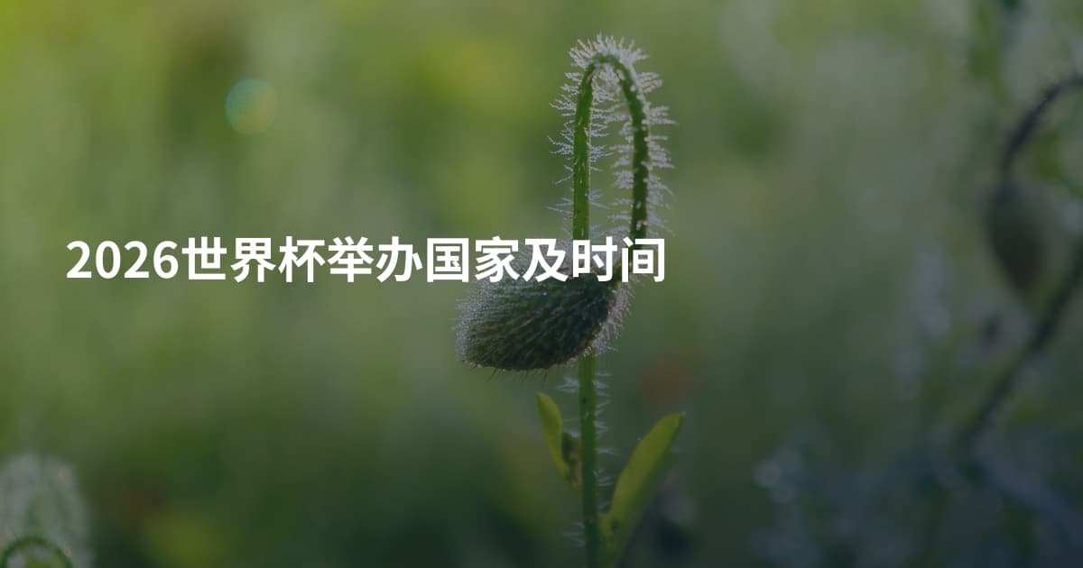 2026世界杯举办国家及时间