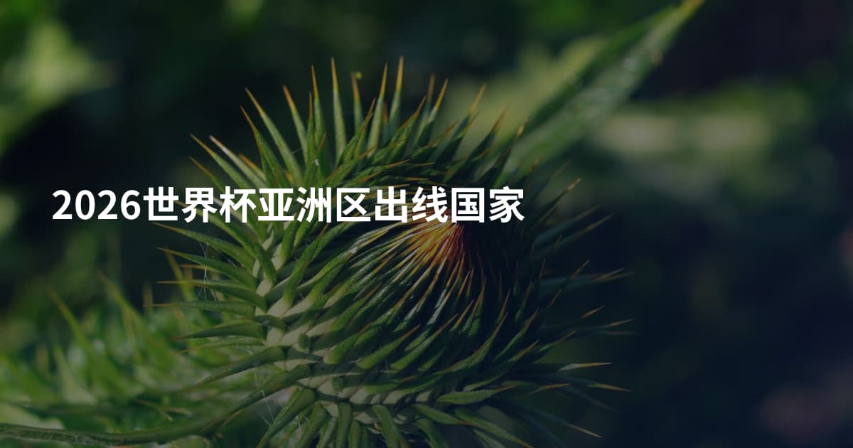 2026世界杯亚洲区出线国家