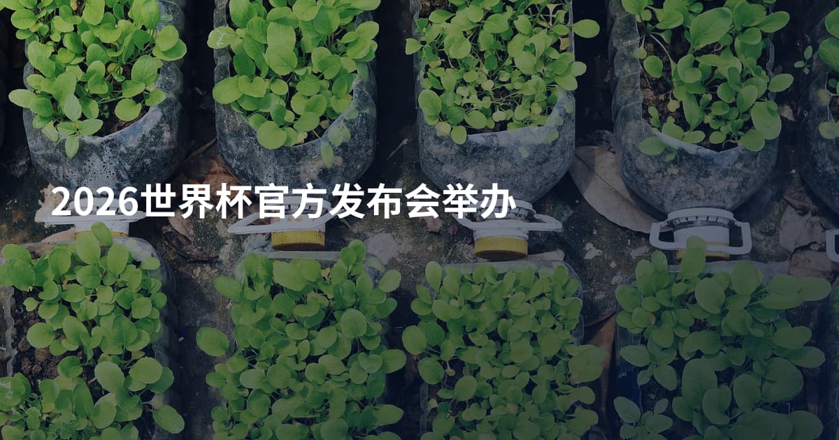 2026世界杯官方发布会举办
